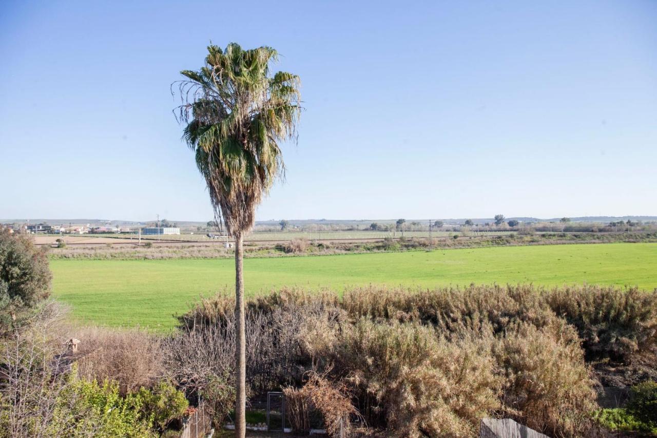 Casa Rural La Palmera Almodóvar del Río Zewnętrze zdjęcie