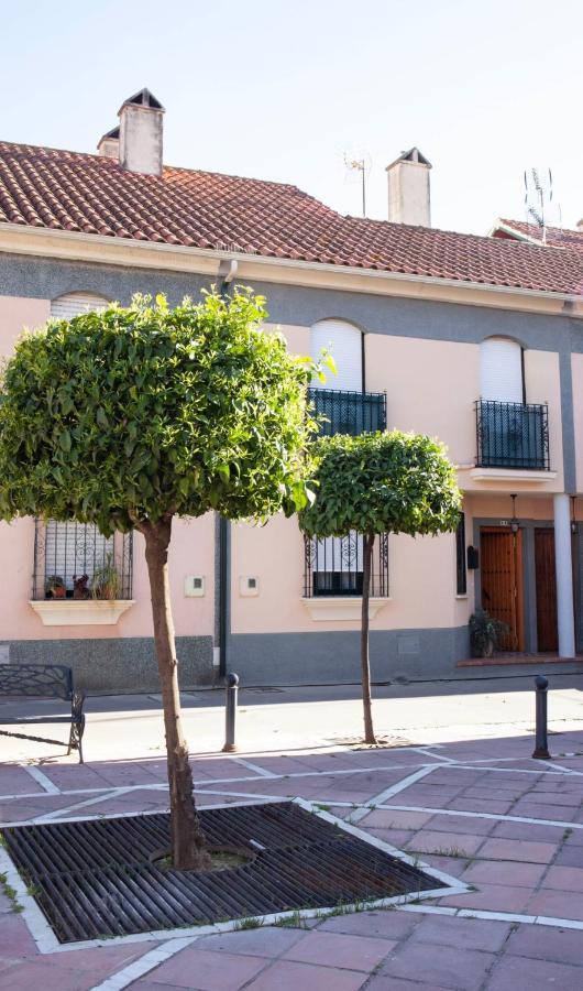 Casa Rural La Palmera Almodóvar del Río Zewnętrze zdjęcie